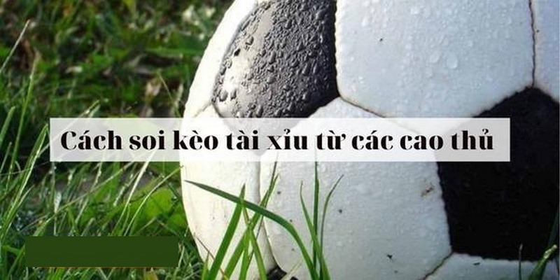 Mẹo chơi kèo tài xỉu từ chuyên gia Loto188