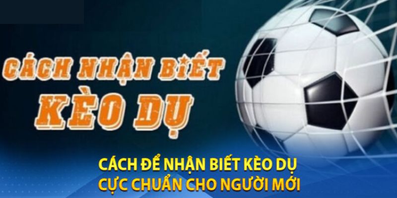 Đọc kỹ tỷ lệ kèo dụ tung ra