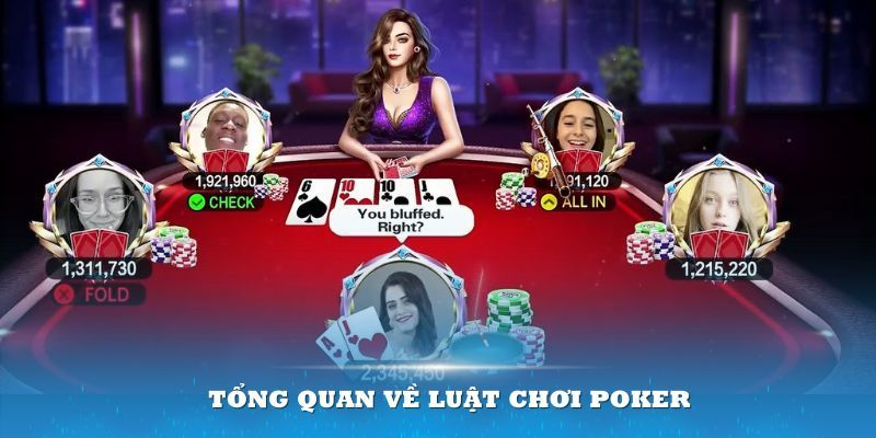 Chi tiết cách chơi Poker đơn giản cho tân binh