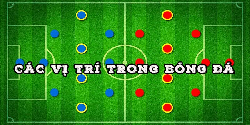 Sơ đồ bóng đá 4-2-3-1