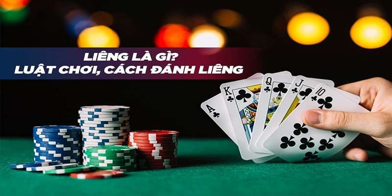 Bật mí kiến thức nhập môn chuẩn xác cho tân thủ