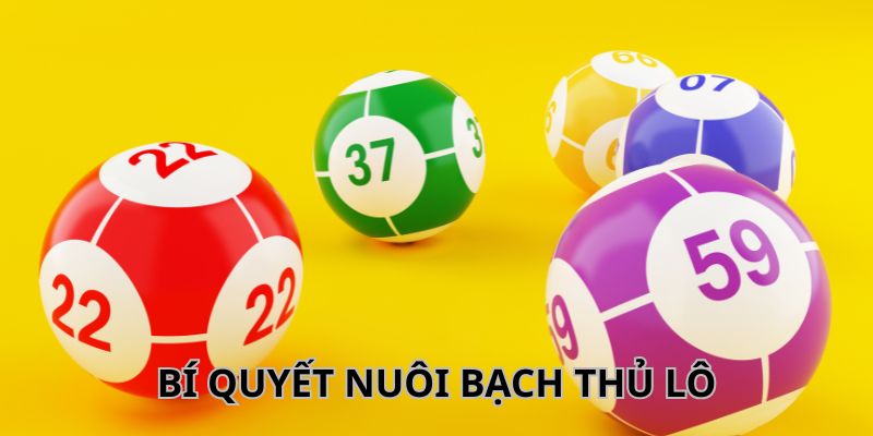 Tìm hiểu bí quyết nuôi bạch thủ lô là gì?