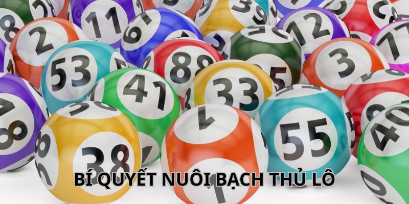 Cách tìm kiếm bạch thủ lô chuẩn cho tân thủ