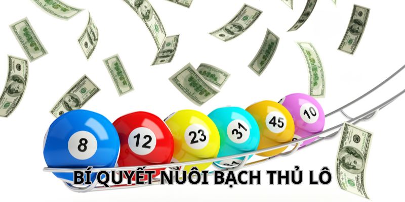 Bí Quyết Nuôi Bạch Thủ Lô Chuẩn Xác Từ Chuyên Gia Loto188