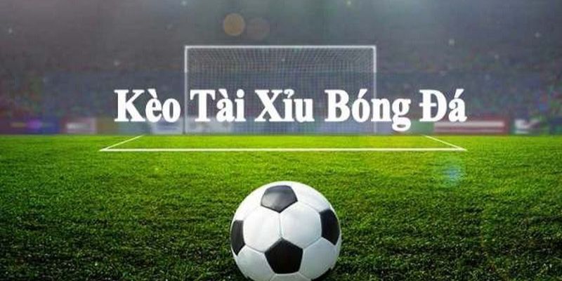 Sơ lược kiến thức cơ bản về kèo tài xỉu bóng đá