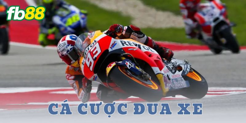 Các loại hình cá cược đua xe phổ biến