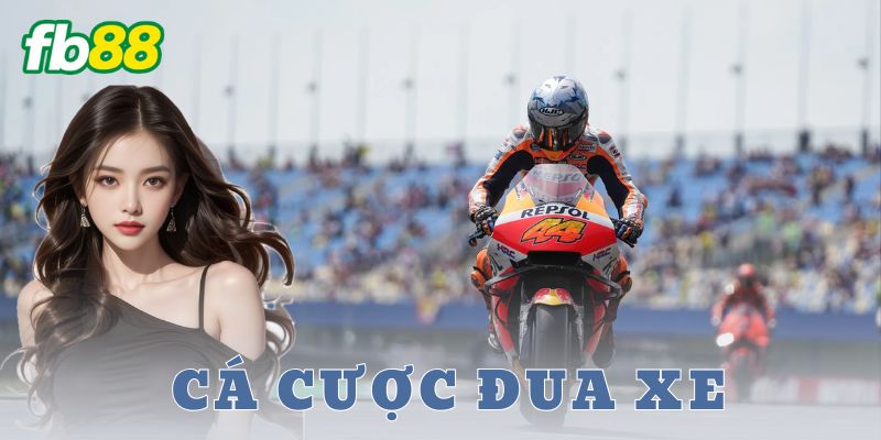 Kinh nghiệm và chiến thuật cá cược đua xe