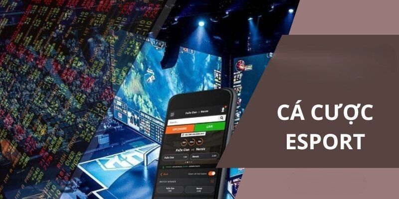 Cá Cược Thể Thao Điện Tử - Loại Hình Giải Trí Mới Lạ Tại Loto188