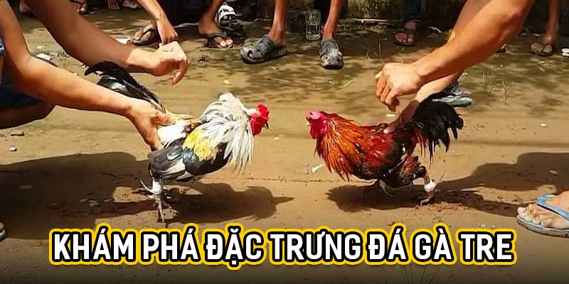 Các loại cược đá gà tre phổ biến tại Loto188