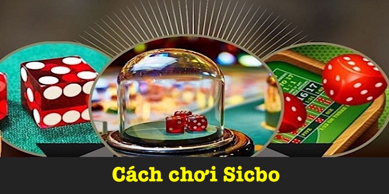 Mẹo Chơi Sicbo - Cao Thủ Loto188 Chia Sẻ Cho Thành Viên Mới
