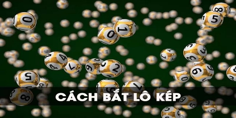 Xổ Số Bình Định Và Những Thông Tin Đặc Sắc Nên Biết 