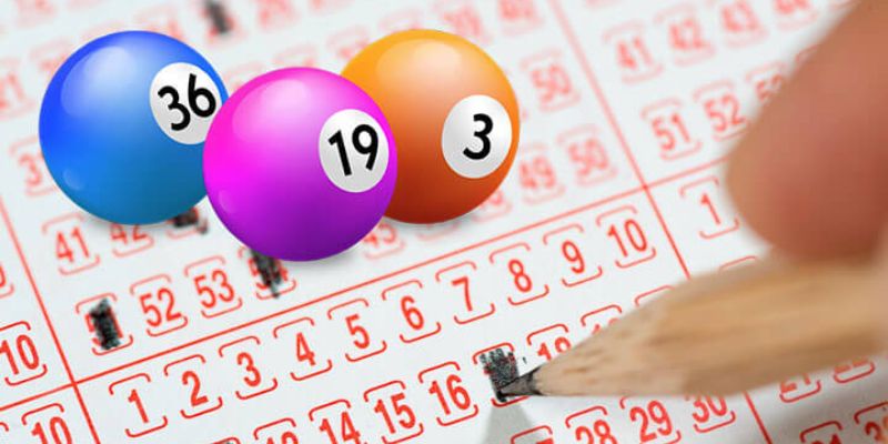 Vì sao bạn nên học cách bắt lô đề