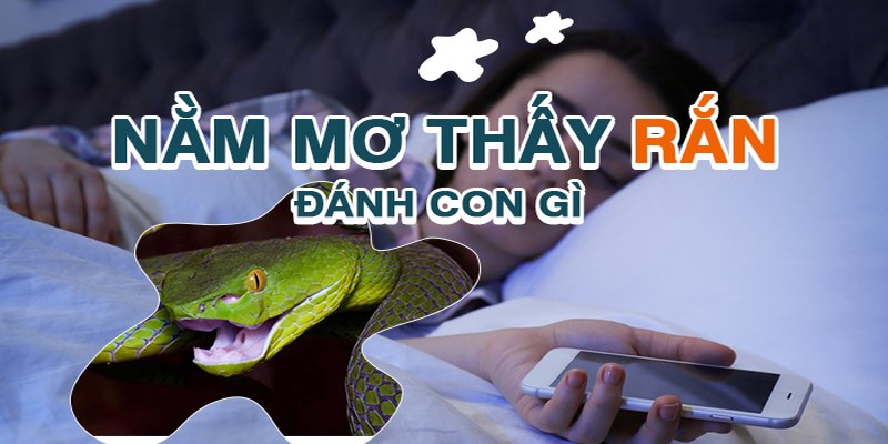Nằm mơ rắn bò vào nhà