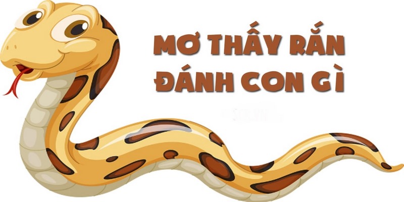 Mơ thấy rắn đánh con gì và và điềm báo ẩn chứa