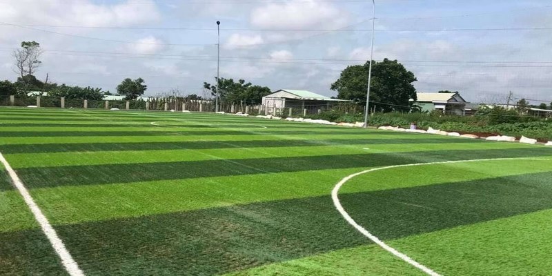 Chi phí làm sân cỏ nhân tạo 7 người năm 2026 bao nhiêu