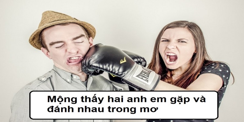 Mộng thấy hai anh em gặp và đánh nhau trong mơ