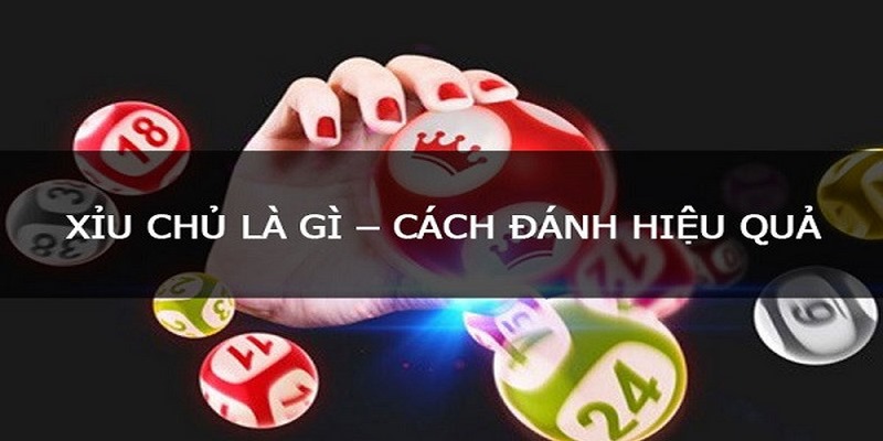 Soi Cầu Xỉu Chủ Miền Nam | Mách Bạn Cách Chốt Số Chuẩn