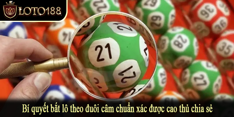 Bí quyết bắt lô theo đuôi câm chuẩn xác được cao thủ chia sẻ