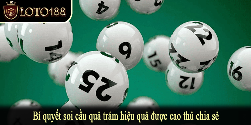 Bí quyết soi cầu quả trám hiệu quả được cao thủ chia sẻ