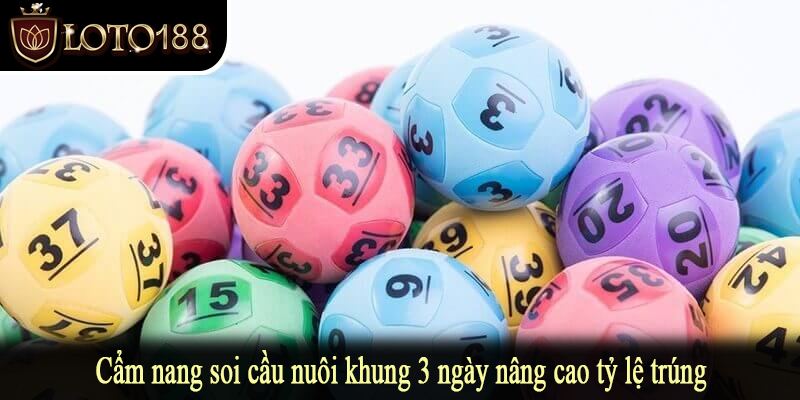 Cẩm nang soi cầu nuôi khung 3 ngày nâng cao tỷ lệ trúng