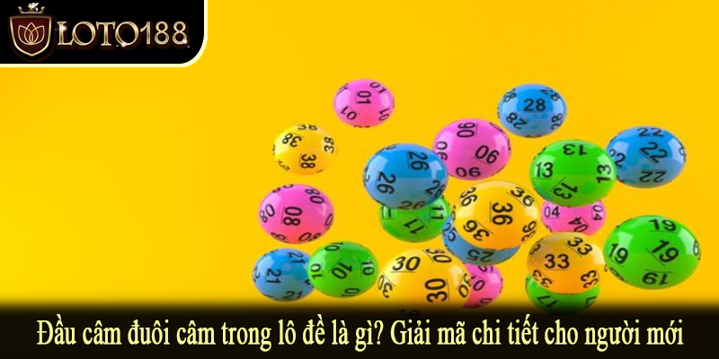 Đầu câm đuôi câm trong lô đề là gì? Giải mã chi tiết cho người mới
