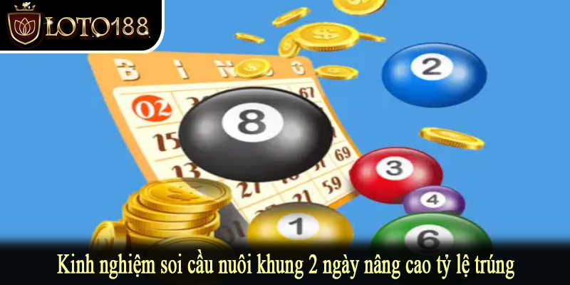 Kinh nghiệm soi cầu nuôi khung 2 ngày nâng cao tỷ lệ trúng