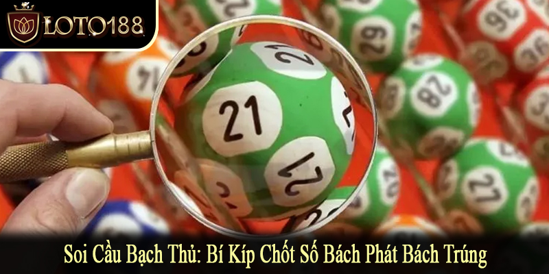 soi cầu bạch thủ