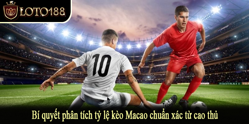 Bí quyết phân tích tỷ lệ kèo Macao chuẩn xác từ cao thủ