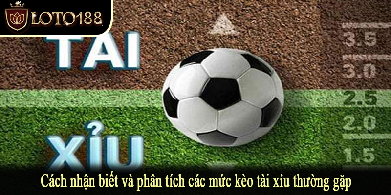 Cách nhận biết và phân tích các mức kèo tài xỉu thường gặp