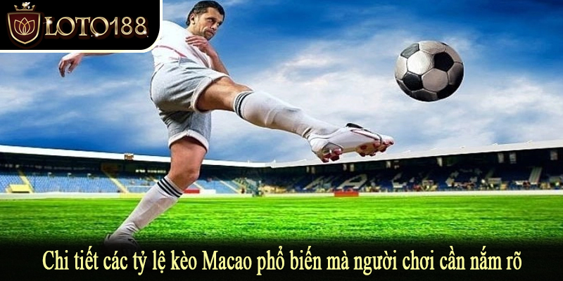 Chi tiết các tỷ lệ kèo Macao phổ biến mà người chơi cần nắm rõ