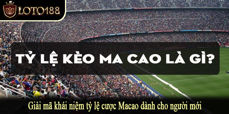 Giải mã khái niệm tỷ lệ cược Macao dành cho người mới